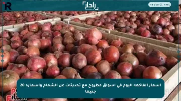 أسعار الفاكهة اليوم في أسواق مطروح مع تحديثات عن الشمام وأسعاره 20 جنيها